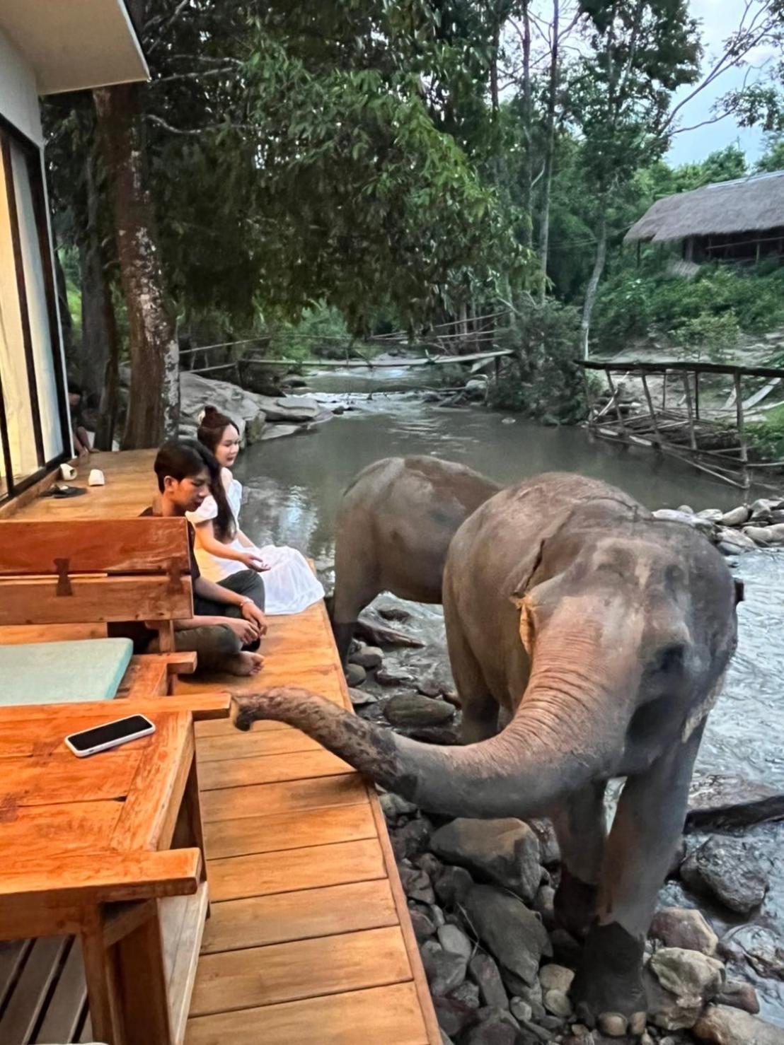 3Pok-Riverside Maewangjinxiang Mae Wang Eksteriør billede