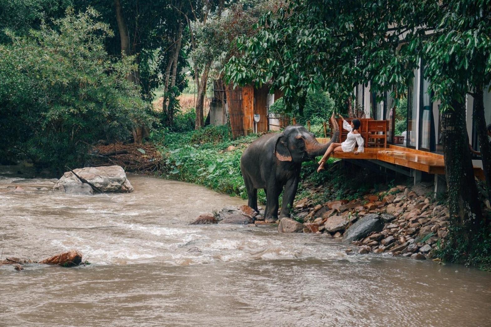 3Pok-Riverside Maewangjinxiang Mae Wang Eksteriør billede